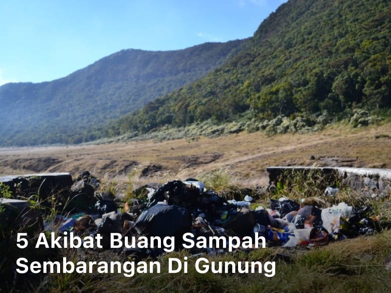 Akibat Buang Sampah Sembarangan; akibat membuang sampah sembarangan; apa akibat membuang sampah sembarangan; sebutkan 4 akibat yang ditimbulkan dari membuang sampah sembarangan; membuang sampah sembarangan dapat mengakibatkan; akibat dari membuang sampah sembarangan; dampak membuang sampah sembarangan; dampak negatif dari membuang sampah sembarangan;