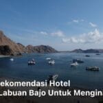 Hotel di Labuan Bajo; labuan bajo hotel; hotel di labuan; hotel di bajo; penginapan di labuan bajo; harga hotel di labuan bajo; harga hotel labuan bajo; hotel terbaik di labuan bajo; hotel wisata labuan bajo; penginapan labuan bajo; hotel bajo; hotel di labuan bajo murah; hotel terbaik labuan bajo; penginapan murah labuan bajo; hotel dengan view terbaik di labuan bajo; hotel di labuan bajo dekat pantai; hotel murah labuan bajo; penginapan murah di labuan bajo; best hotel in labuan bajo; hotel labuan bajo dekat pantai; hotel murah di labuan bajo; rekomendasi hotel di labuan bajo; hotel unik di labuan bajo; resort di labuan bajo; homestay murah di labuan bajo; hotel komodo labuan bajo; labuan bajo resort; villa di labuan bajo; bajo resort; homestay labuan bajo; hotel di labuan bajo bintang 4; hotel di labuan bajo bintang 5; hotel di labuan bajo dekat pelabuhan; ayana hotel labuan bajo; ayana komodo; ayana bajo; ayana komodo resort; ayana labuan bajo; ayana resort labuan bajo; bajo sunset hostel; hotel ayana labuan bajo; waecicu beach;