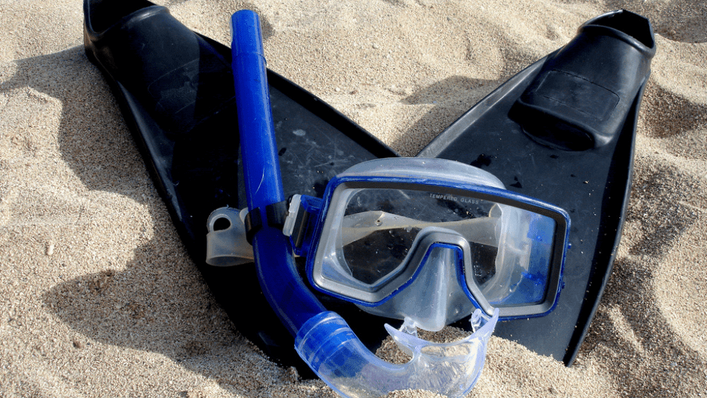Snorkeling Pulau Harapan