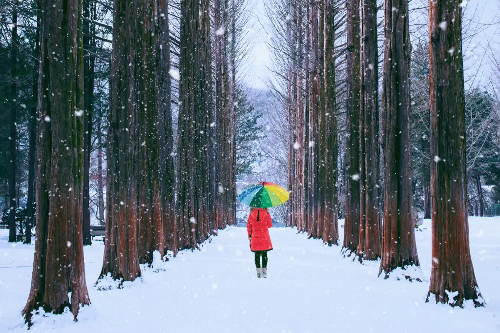 Nami Island