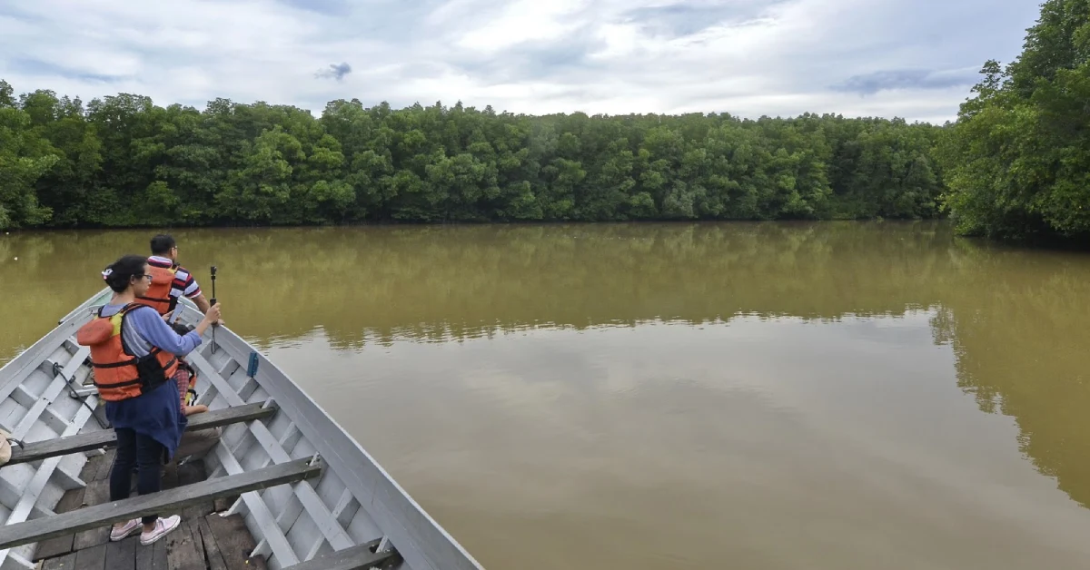 Mangrove Center Graha Indah
