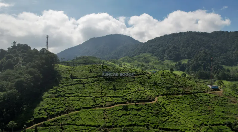 Wisata Puncak Bogor