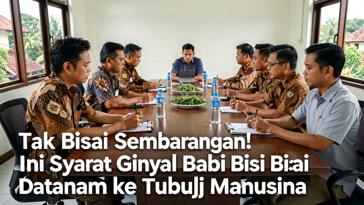 Tak Bisa Sembarangan! Ini Syarat Ginjal Babi Bisa Ditanam ke Tubuh Manusia