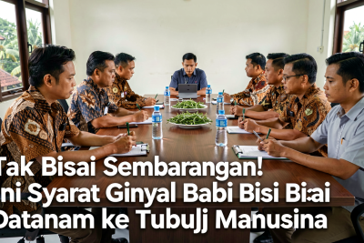 Tak Bisa Sembarangan! Ini Syarat Ginjal Babi Bisa Ditanam ke Tubuh Manusia